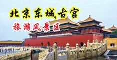 情趣黑丝操到爆中国北京-东城古宫旅游风景区